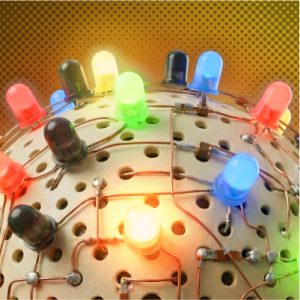 CASTELO BRANCO - dos 6 aos 12